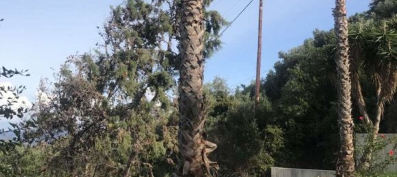 Land for sale in Zakynthos, Ionian Islands, Peloponnese, Western Greece and the Ionian, Greece № 840 21