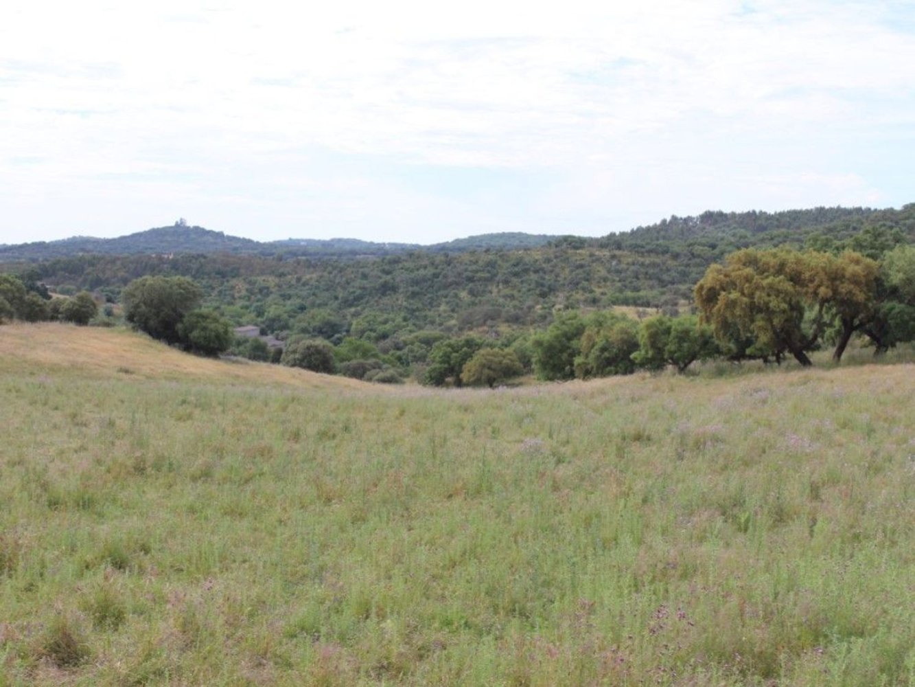  Castillos de 12 dormitorios en Borba, Portugal No. 269752