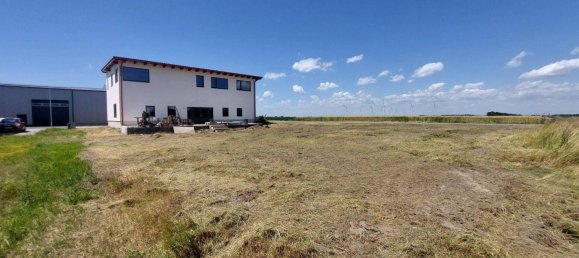 Склад 380м² в Орт ан дер Донау, Австрия № 222745 7