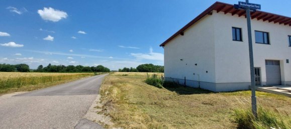 Склад 380м² в Орт ан дер Донау, Австрия № 222745 4