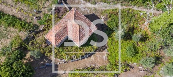 3 Schlafzimmer Haus in Baiao, Portugal, Nr. 78743 10