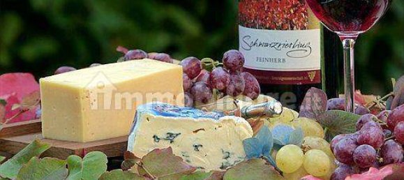 2-salle Propriété commerciale à Verona, Italy No. 202662 17