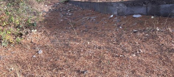 2غرفة منزل في Adrano, Italy رقم 297307 6