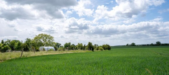 651m² Building in Havelland, Germany No. 370166 4