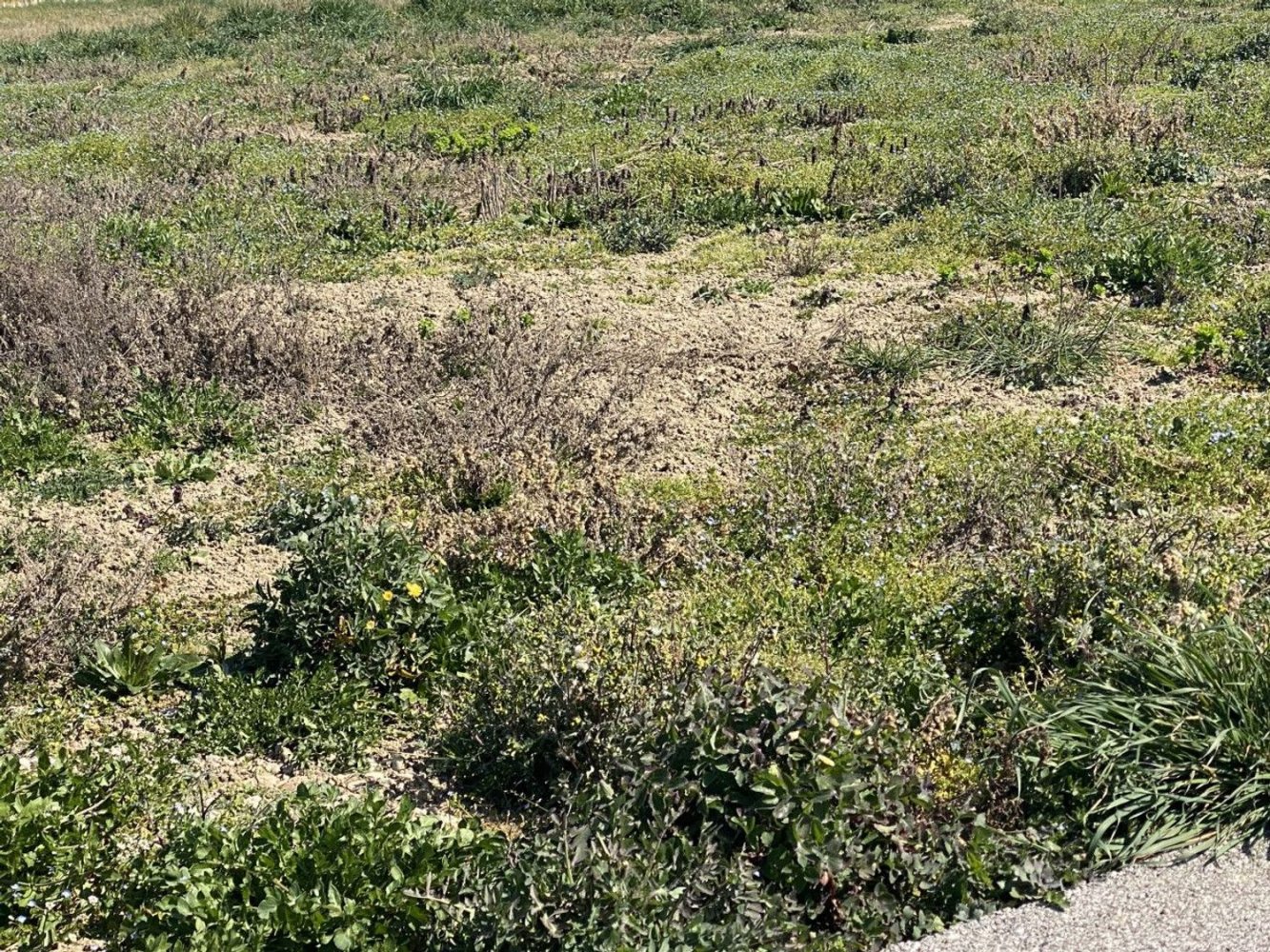 Grundstück in Casalserugo, Italy 601m², Nr. 169726