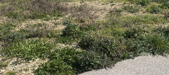 Grundstück in Casalserugo, Italy 601m², Nr. 169726 4