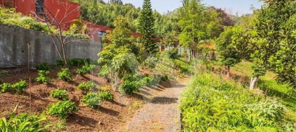 9 chambres Maison à Funchal, Portugal No. 65365 12