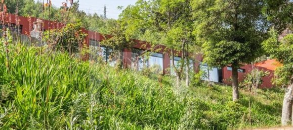 9 chambres Maison à Funchal, Portugal No. 65365 21