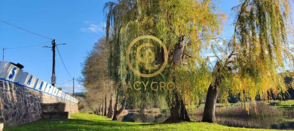 Grundstück in Santa Clara a Velha, Portugal 494250m², Nr. 46799 9