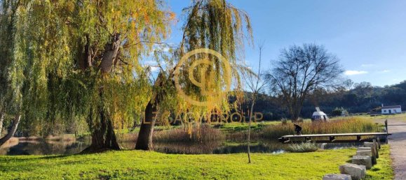 Grundstück in Santa Clara a Velha, Portugal 494250m², Nr. 46799 10