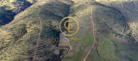 Grundstück in Santa Clara a Velha, Portugal 494250m², Nr. 46799 2