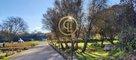 Grundstück in Santa Clara a Velha, Portugal 494250m², Nr. 46799 8