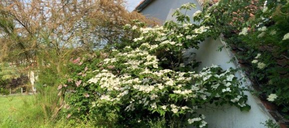 7 rooms Townhouse in Klosterneuburg, Austria No. 16184 4