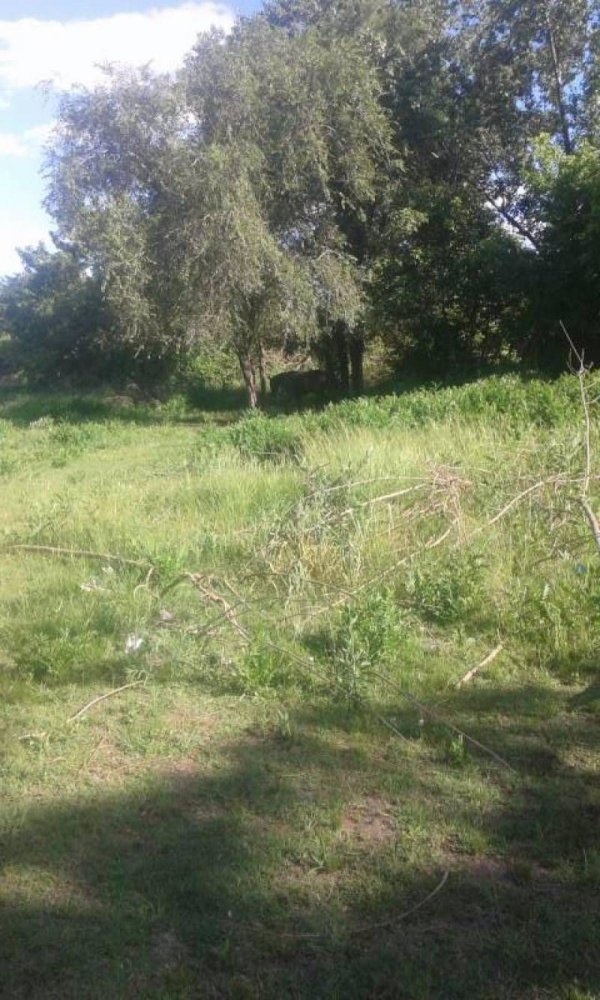  Land in Tigre, Argentina No. 45002