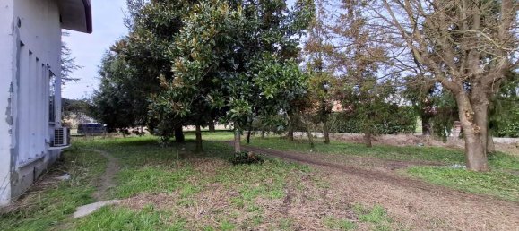 4-salle Maison à Conselve, Italy No. 15277 24