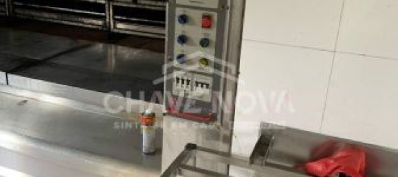 Gewerbliche Immobilie in Oia, Portugal 640m², Nr. 38435 2