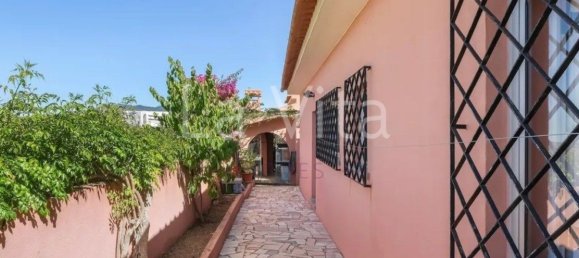 3 chambres Maison à Cascais, Portugal No. 56595 6