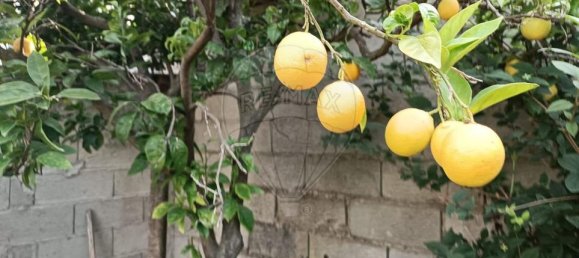 3 Schlafzimmer Haus in Bendada, Portugal, Nr. 26177 7