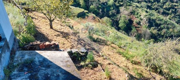 4 bedrooms House in Arganil, Portugal No. 167109 14