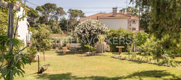 14 bedrooms House in Setubal, Portugal No. 213101 34