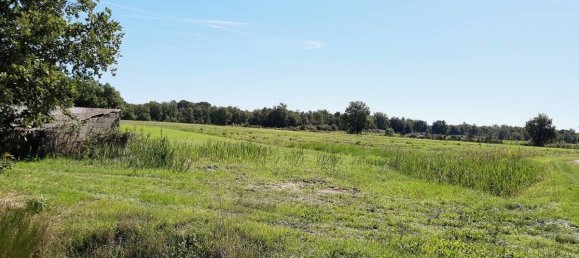 10-Zimmer Haus in Castiglione del Lago, Italy, Nr. 162086 3