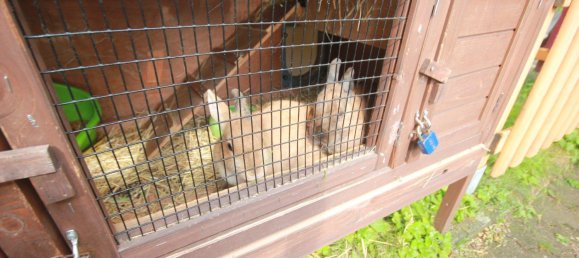 3 Schlafzimmer Wohnung in Niedersachsen, Germany, Nr. 308869 9