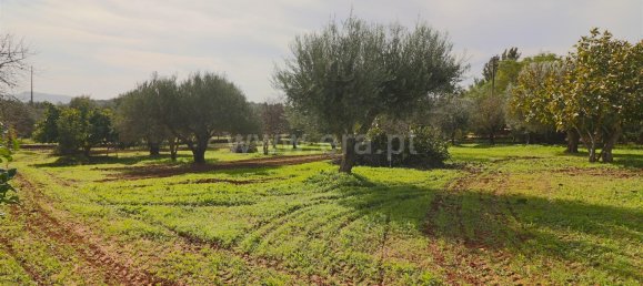 3 Schlafzimmer Haus in Loule, Portugal, Nr. 132265 16