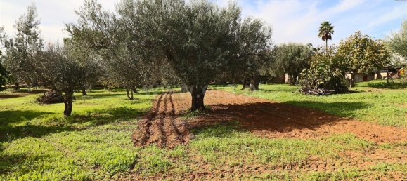 3 Schlafzimmer Haus in Loule, Portugal, Nr. 132265 17