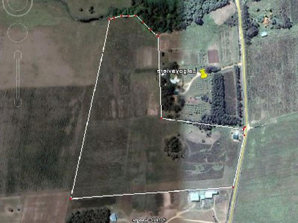  Farm in Maldonado, Uruguay No. 14495