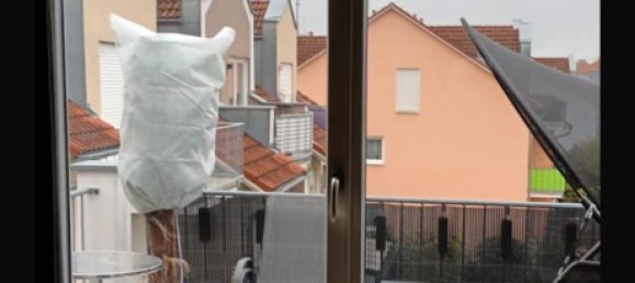 1 Schlafzimmer Wohnung in Ingolstadt, Germany, Nr. 236098 12