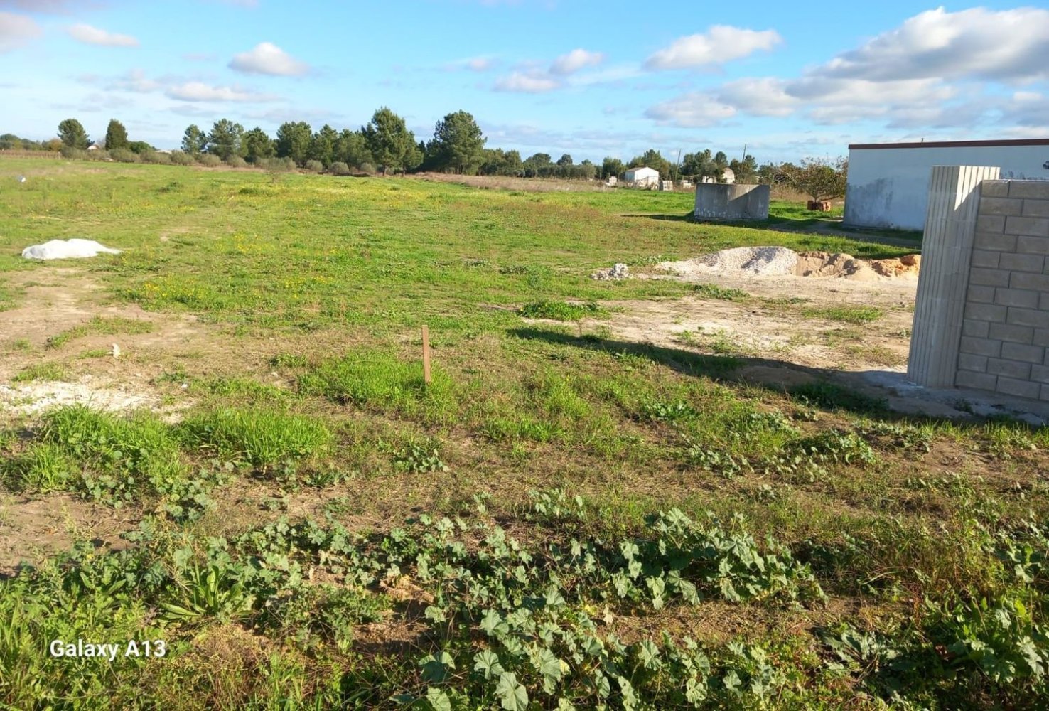 3 bedrooms House in Salvaterra de Magos, Portugal No. 227825