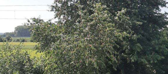 3 chambres Maison de ville à Kelheim, Germany No. 239557 6