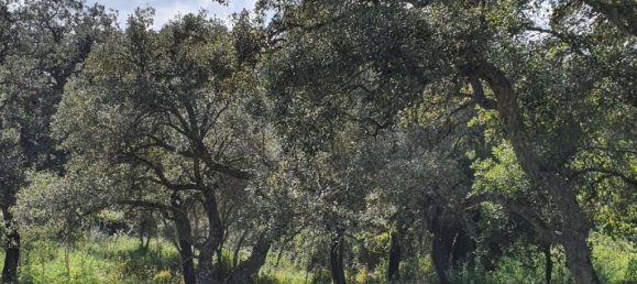 Terreno em Cadiz, Spain N.º 72382 10