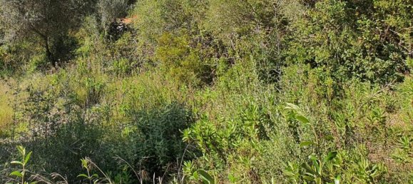 Terreno em Cadiz, Spain N.º 72382 8