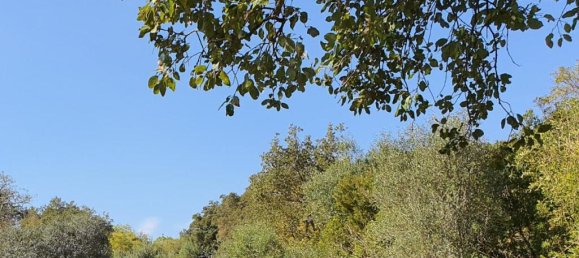 Terreno em Cadiz, Spain N.º 72382 7