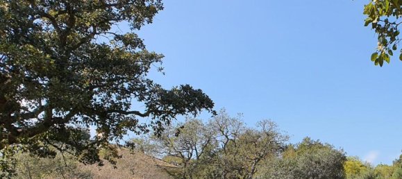 Terreno em Cadiz, Spain N.º 72382 6