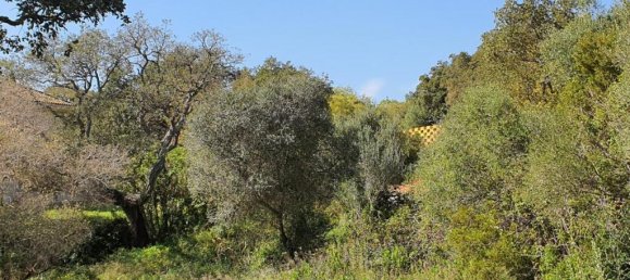 Terreno em Cadiz, Spain N.º 72382 5