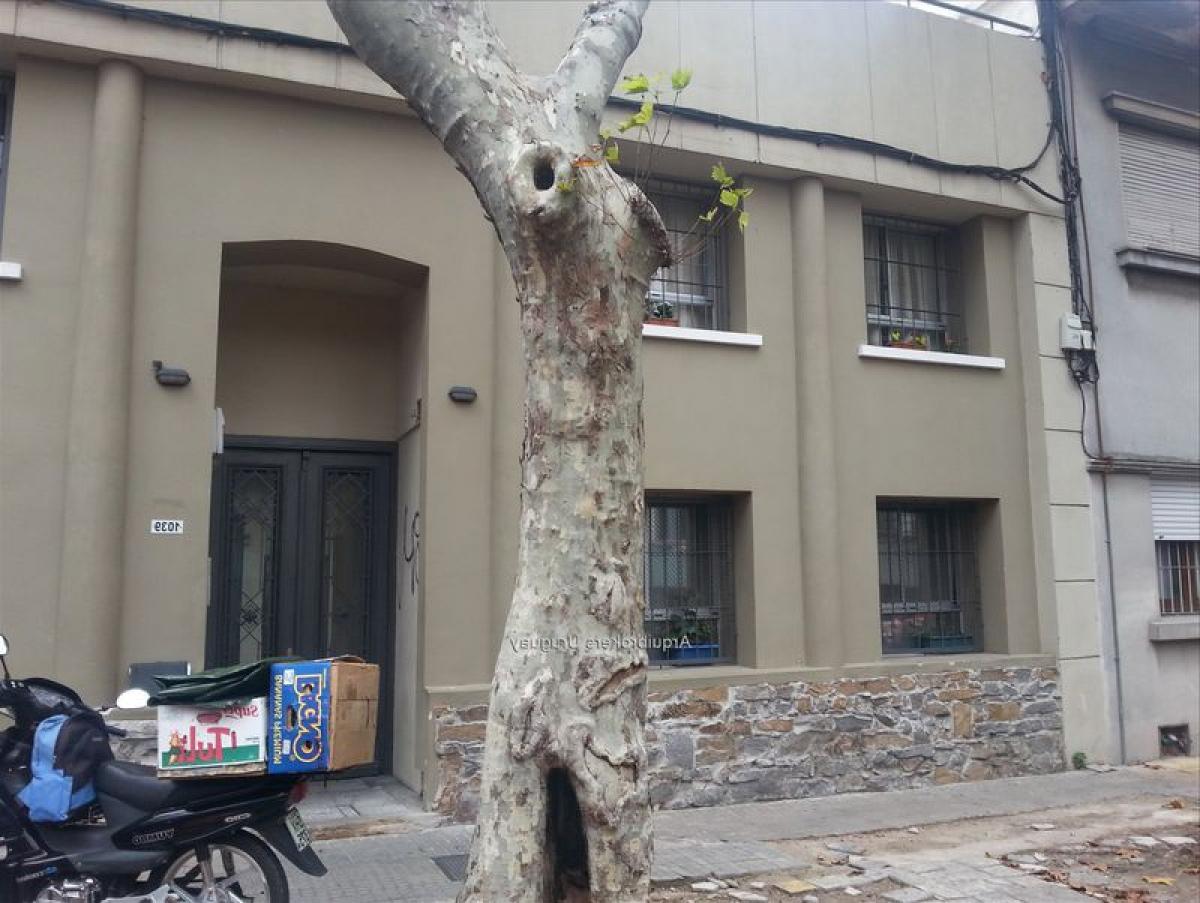 2 Schlafzimmer Wohnung in Montevideo, Uruguay, Nr. 12386