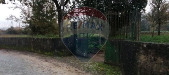 9 bedrooms House in Braga, Portugal No. 23564 5