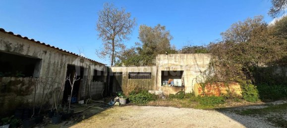 4 غرف نوم منزل في Camigliano, Italy رقم 121668 33