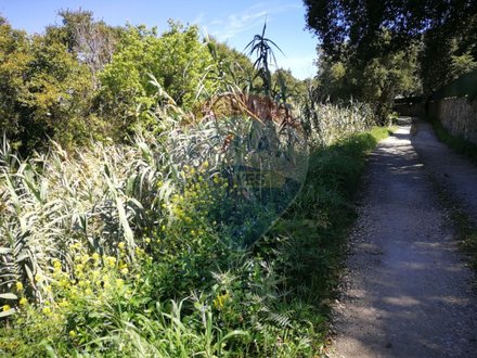 Grundstück in Colares, Portugal 10240m², Nr. 58020