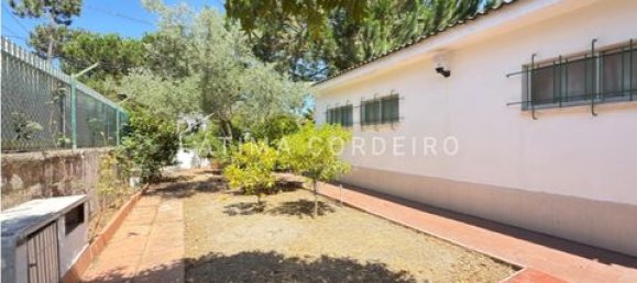 6 bedrooms House in Corroios, Portugal No. 239412 9