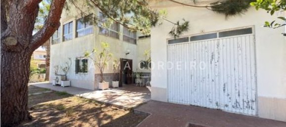 6 bedrooms House in Corroios, Portugal No. 239412 5