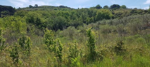 3 rooms House in Gaeta, Italy No. 64436 5