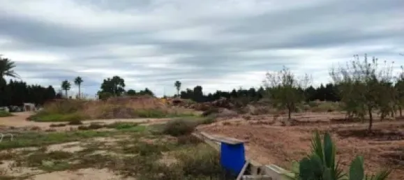 Propriété commerciale à Sueca, Spain No. 133732 7