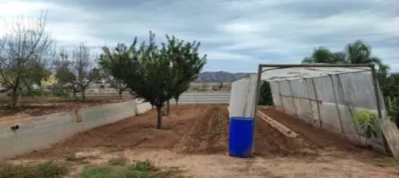 Propriété commerciale à Sueca, Spain No. 133732 3