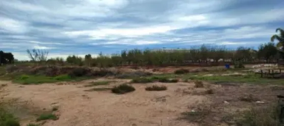 Propriété commerciale à Sueca, Spain No. 133732 2