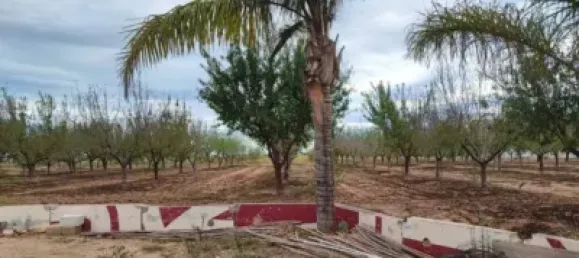 Propriété commerciale à Sueca, Spain No. 133732 8