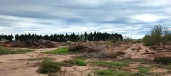 Propriété commerciale à Sueca, Spain No. 133732 5