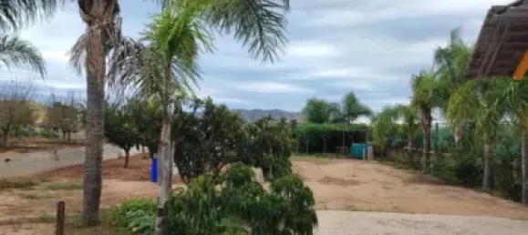 Propriété commerciale à Sueca, Spain No. 133732 16